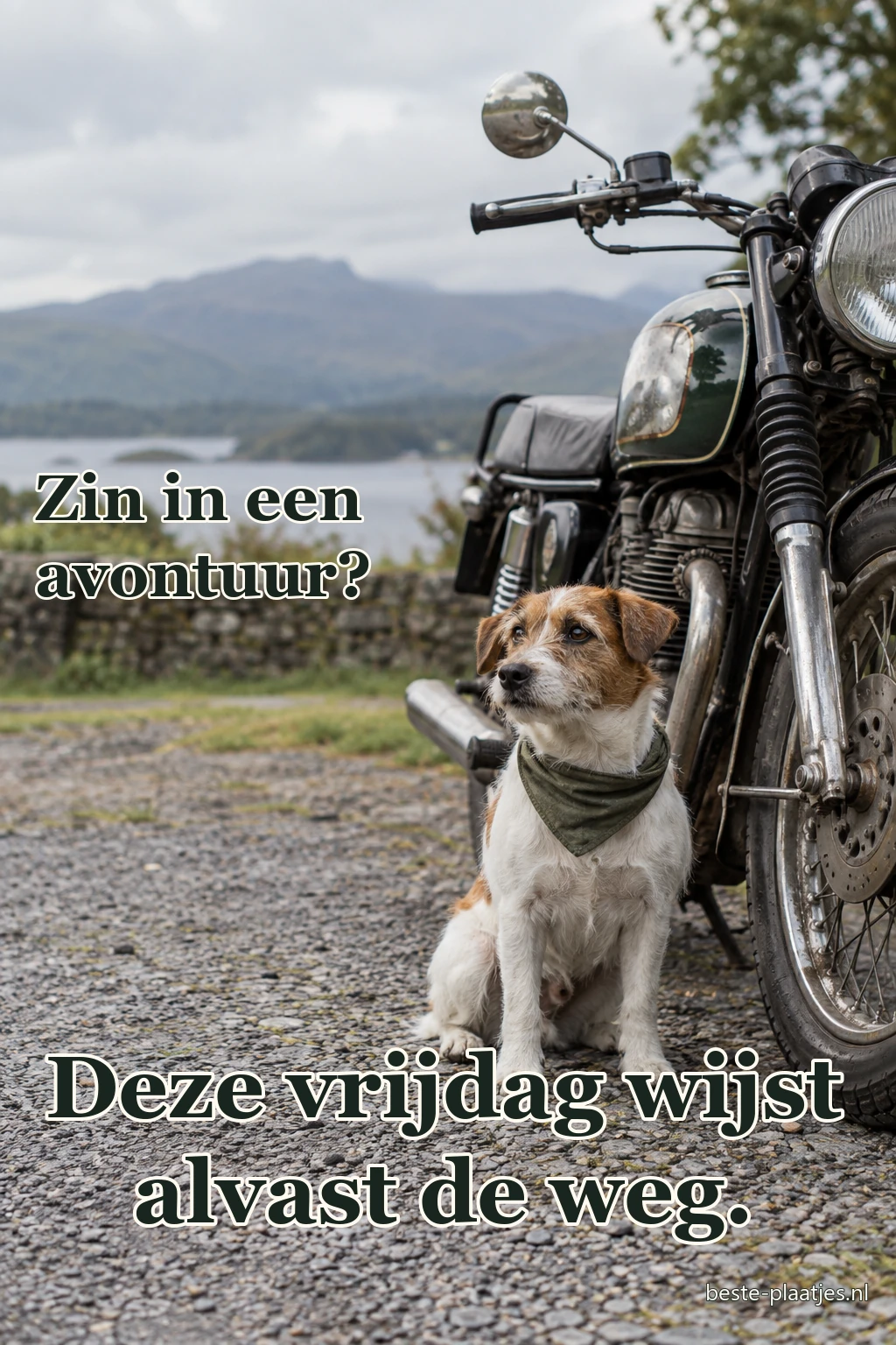 Een kleine hond zit naast een geparkeerde motorfiets. Een kleine hond zit naast een geparkeerde motorfiets.