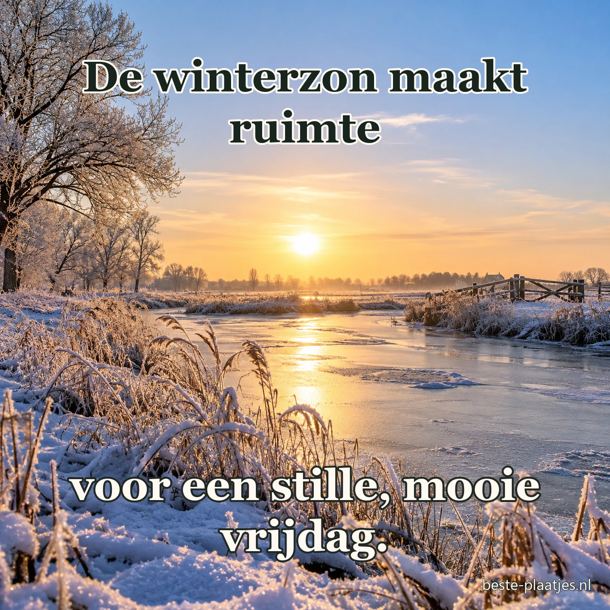 Winterzon schijnt boven een rivier en rijp op de takken. Winterzon schijnt boven een rivier en rijp op de takken.