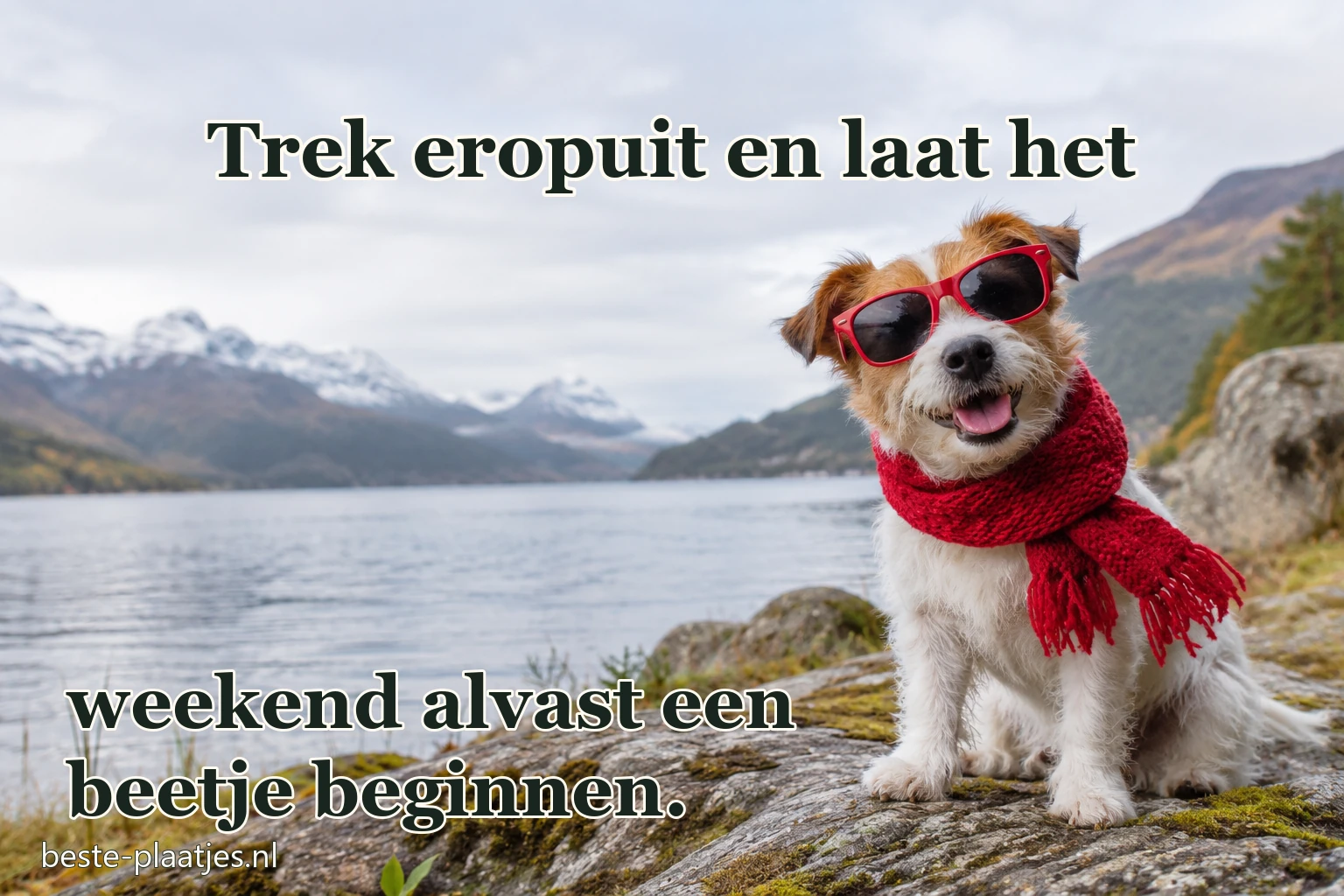 Een hond met rode sjaal en zonnebril zit bij een bergmeer. Een hond met rode sjaal en zonnebril zit bij een bergmeer.