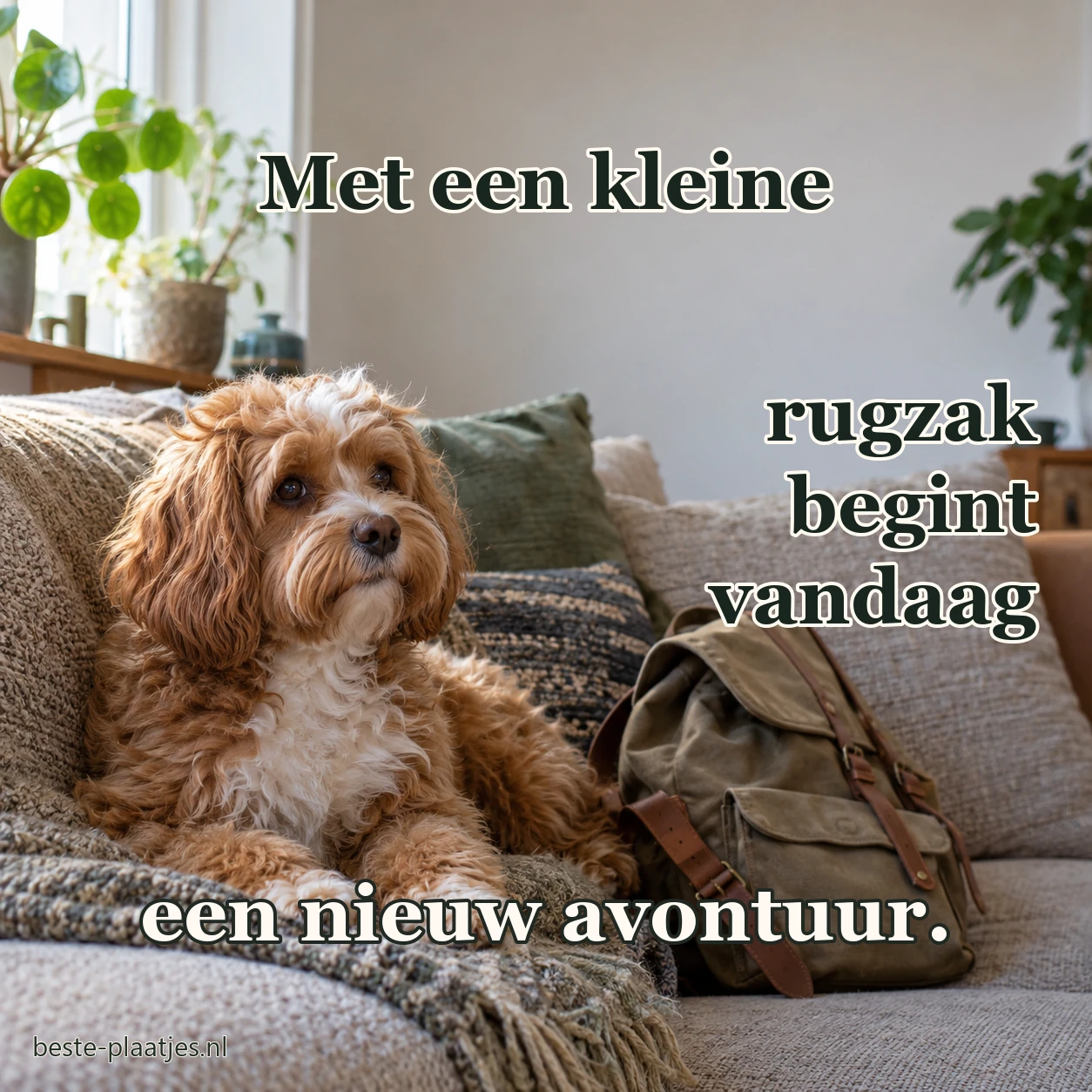 Een klein hondje zit naast een rugzak in de woonkamer. Een klein hondje zit naast een rugzak in de woonkamer.