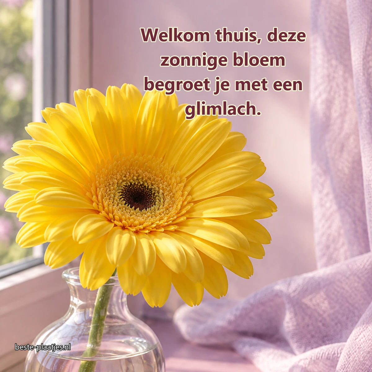 Een gele gerbera staat in een glazen vaasje op een roze vensterbank.