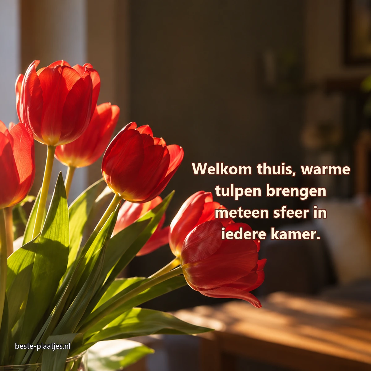 Rode tulpen lichten op tegen een donker en rustig interieur.