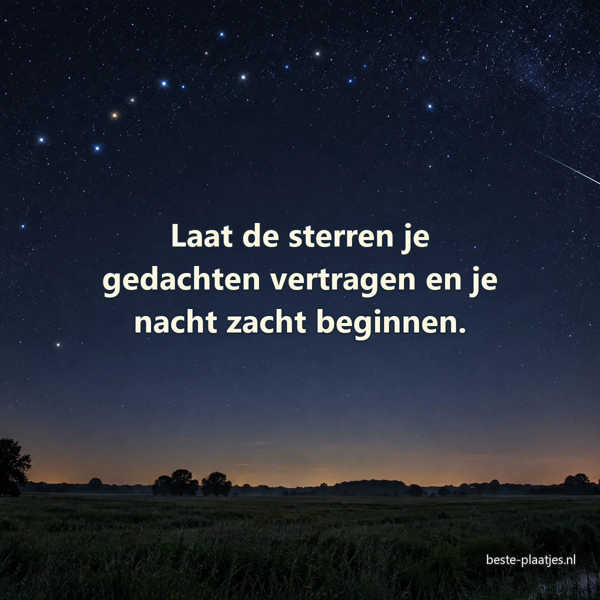 Een meteoor trekt door een donkere sterrenhemel boven een stil veld.