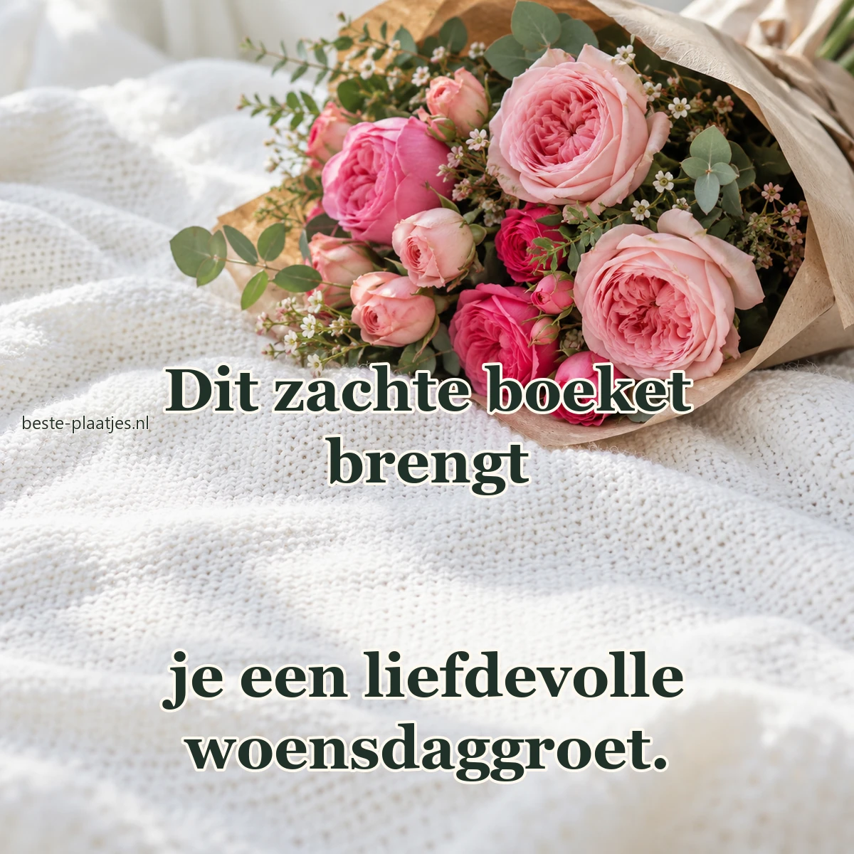 Een boeket roze tuinrozen ligt verpakt op een witte gebreide deken.