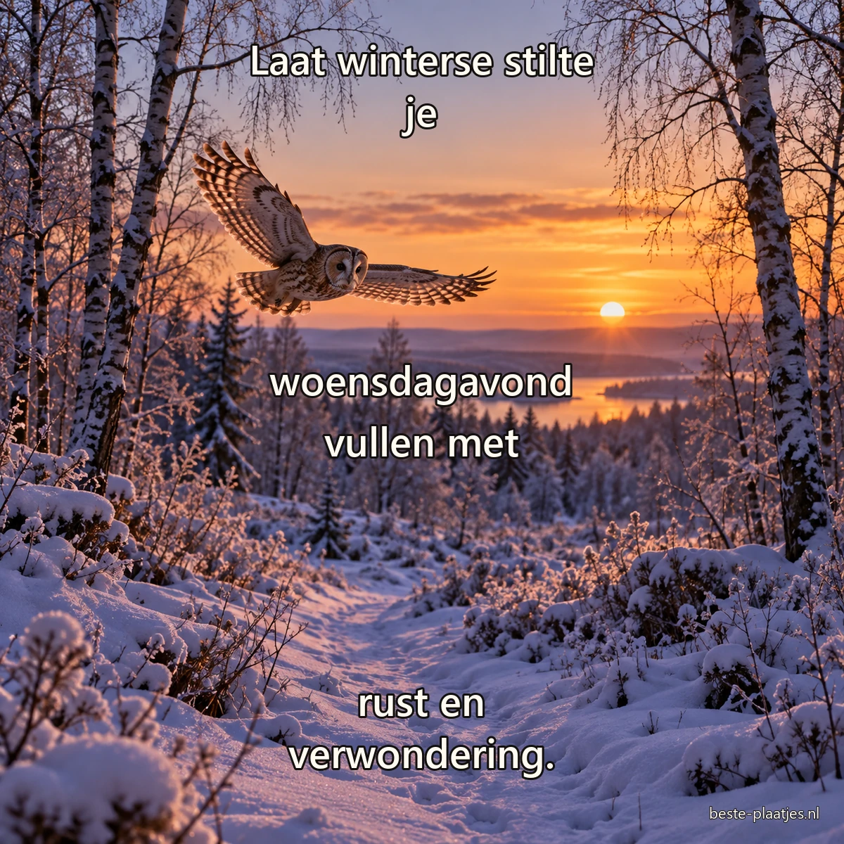 Een kerkuil vliegt boven een besneeuwd bospad tijdens een zachtoranje winterzonsondergang.