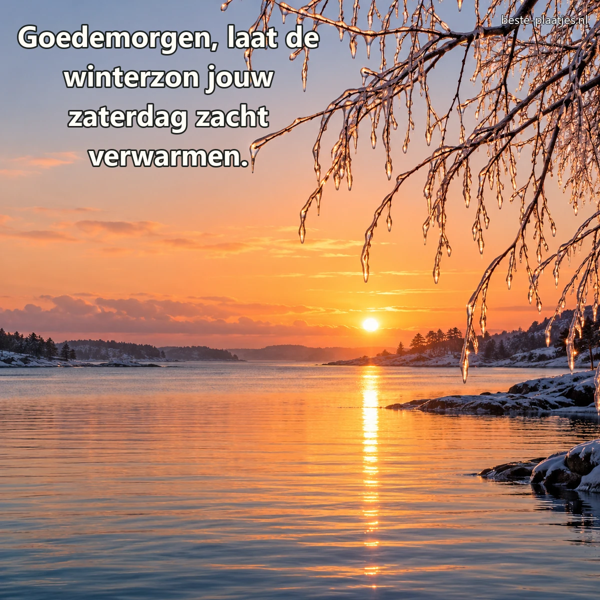 De winterzon komt op boven rustig water en met ijs bedekte takken. De winterzon komt op boven rustig water en met ijs bedekte takken.