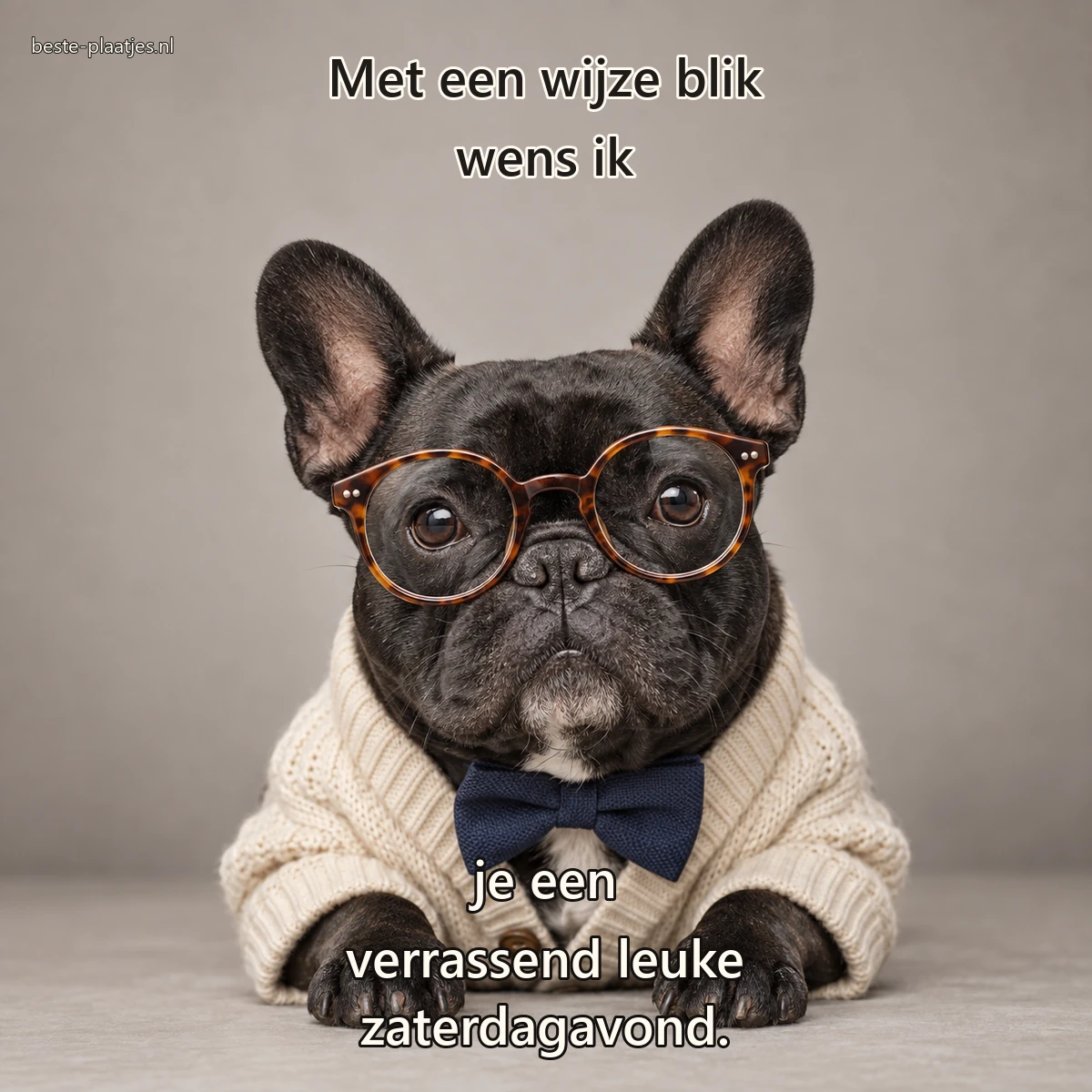 Een zwarte Franse buldog poseert met ronde bril, licht vest en donkerblauwe strik.