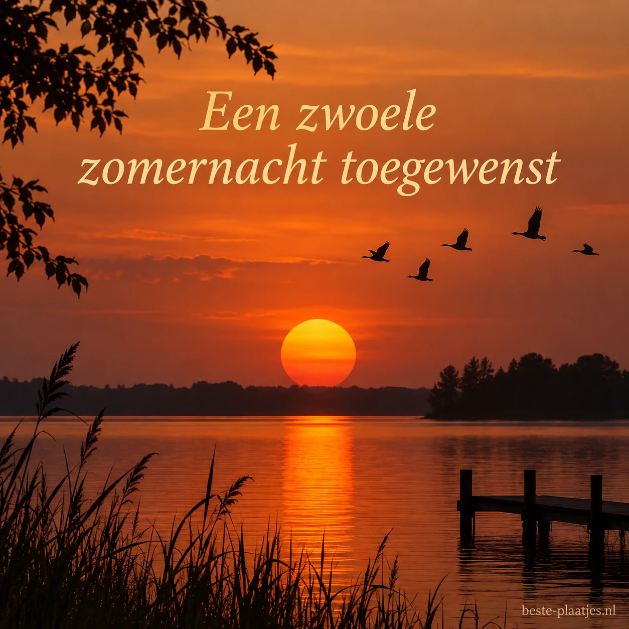 De oranje zon zakt boven een meer terwijl vogels overvliegen.