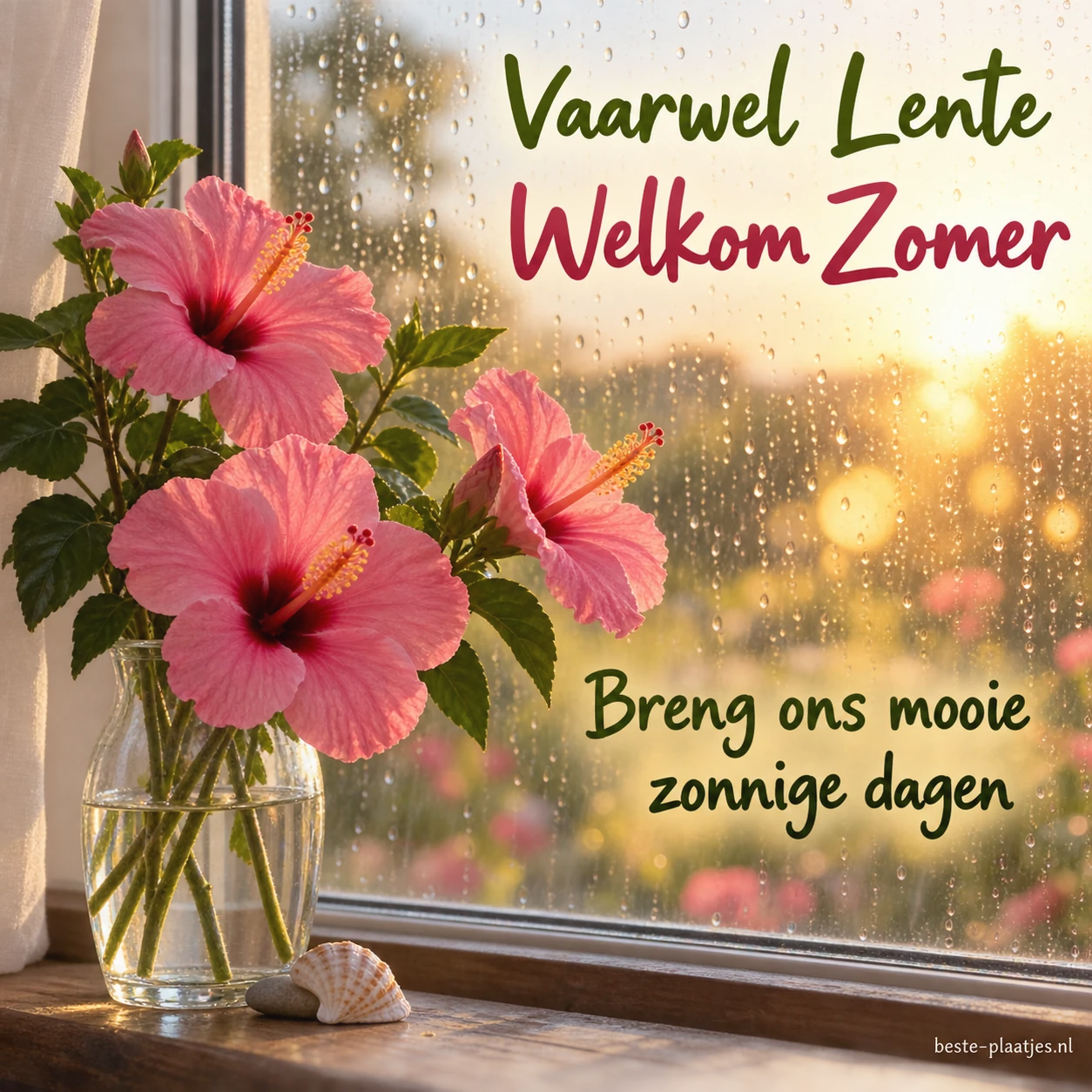 Roze hibiscusbloemen staan voor een raam met regendruppels.