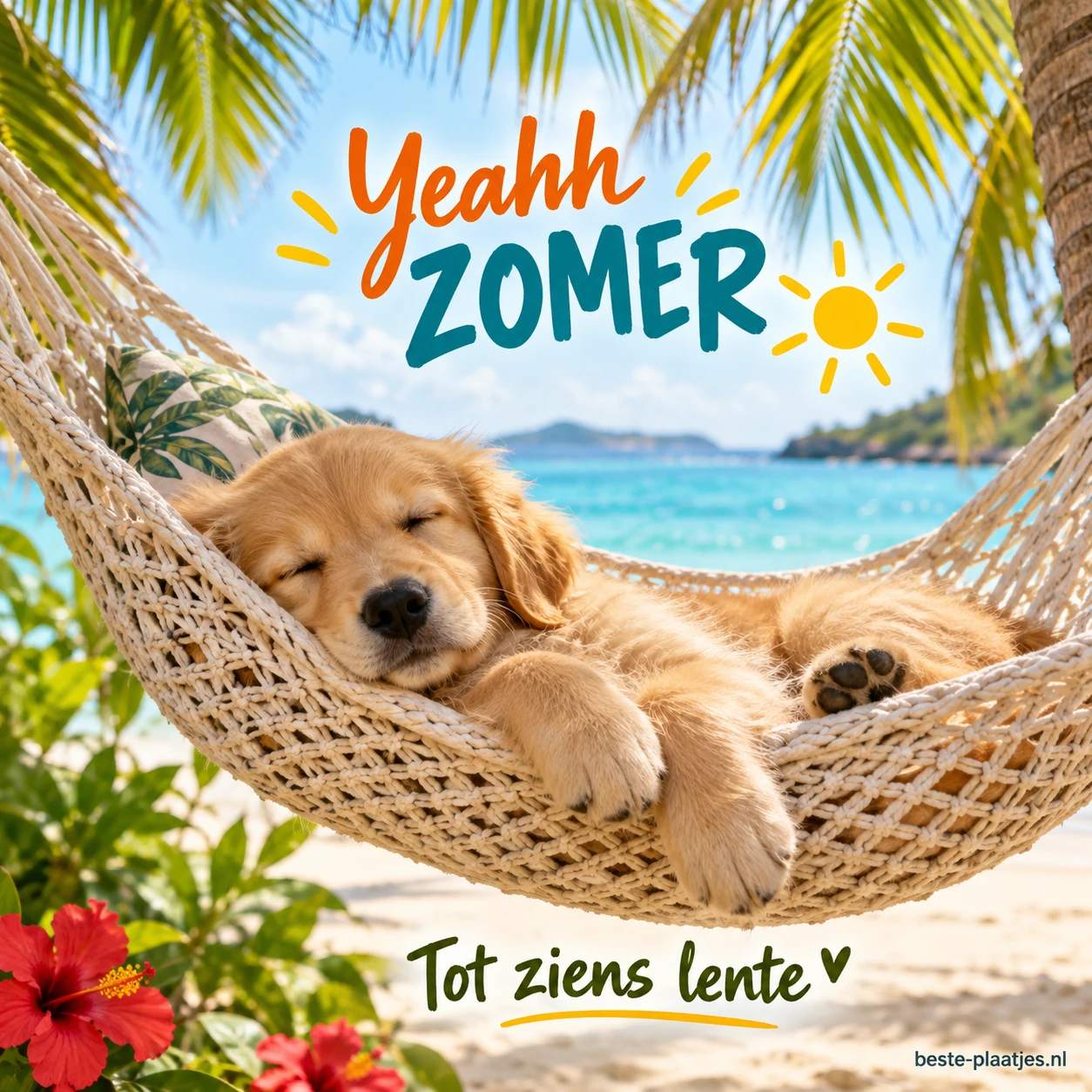 Een jonge hond slaapt in een hangmat tussen palmtakken.