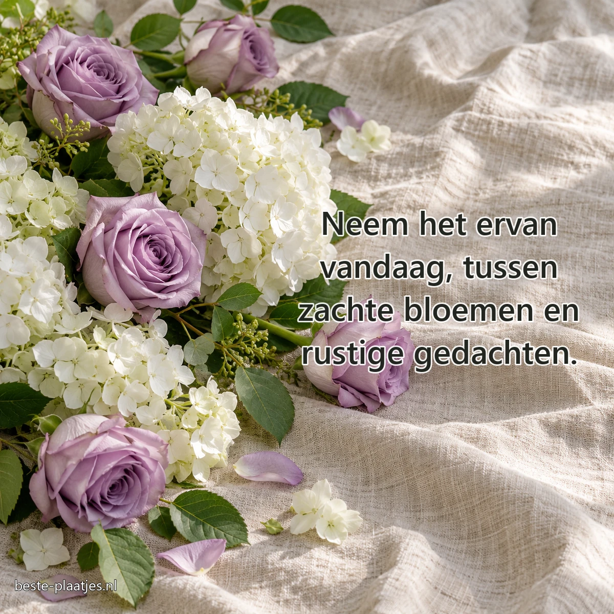 Lila rozen en witte hortensia liggen losjes op een linnen tafelkleed. Lila rozen en witte hortensia liggen losjes op een linnen tafelkleed.