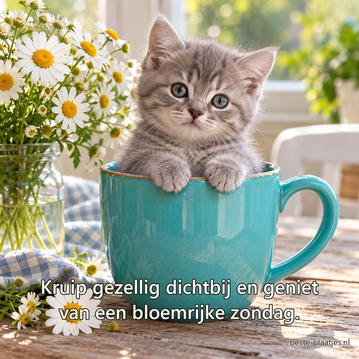Een grijs kitten zit veilig in een turquoise mok naast kamillebloemen. Een grijs kitten zit veilig in een turquoise mok naast kamillebloemen.