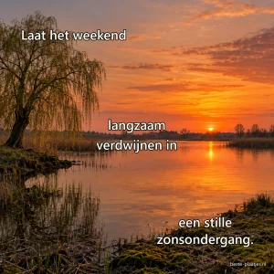 Een oranje zon zakt achter een rustige plas met een oude wilg langs de oever.
