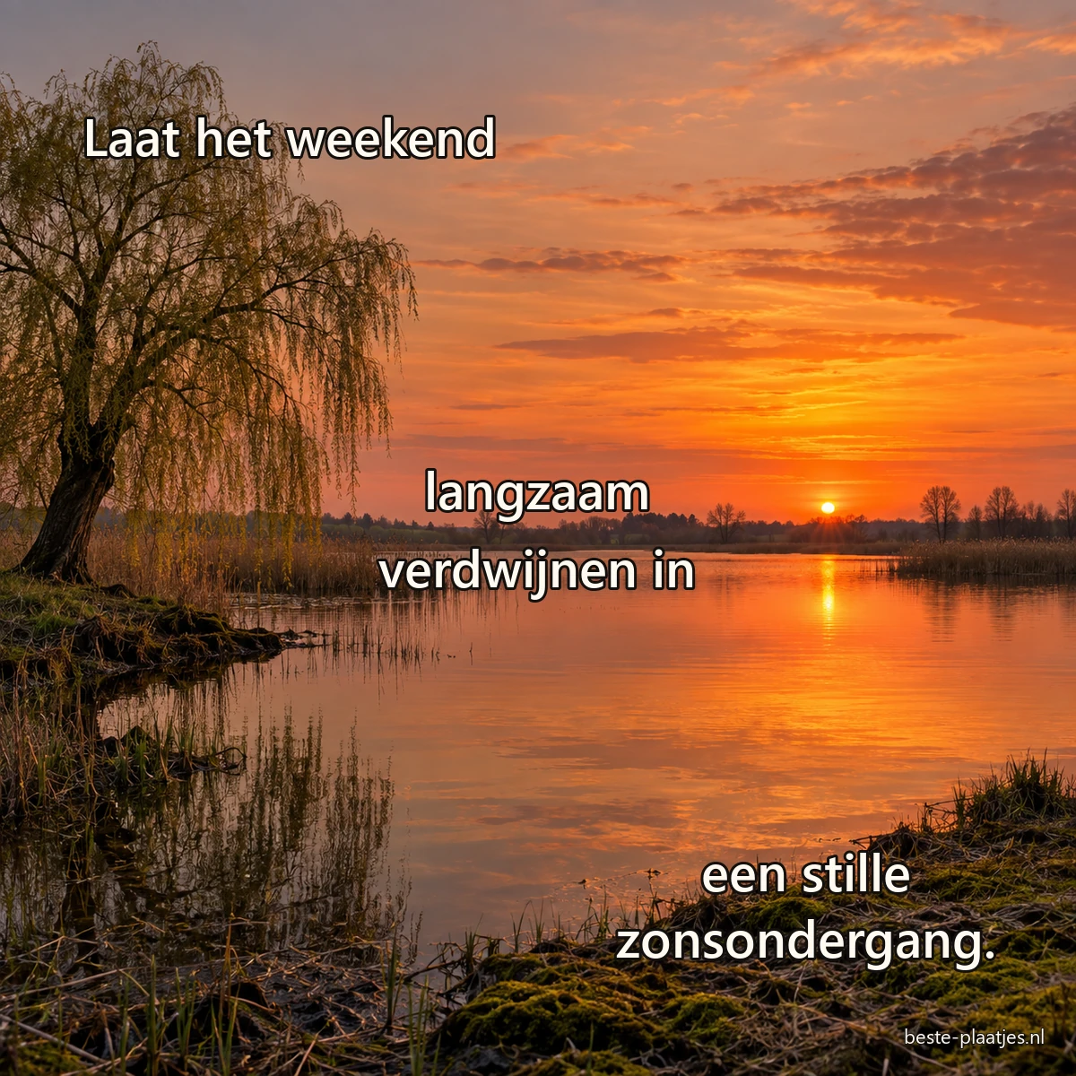 Een oranje zon zakt achter een rustige plas met een oude wilg langs de oever.