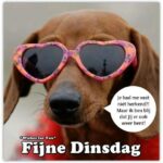 fijne dinsdag humor 000 - fijne dinsdag humor