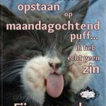 fijne maandag humor 000 - fijne maandag humor