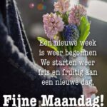 fijne maandag nieuwe week 000 - fijne maandag nieuwe week