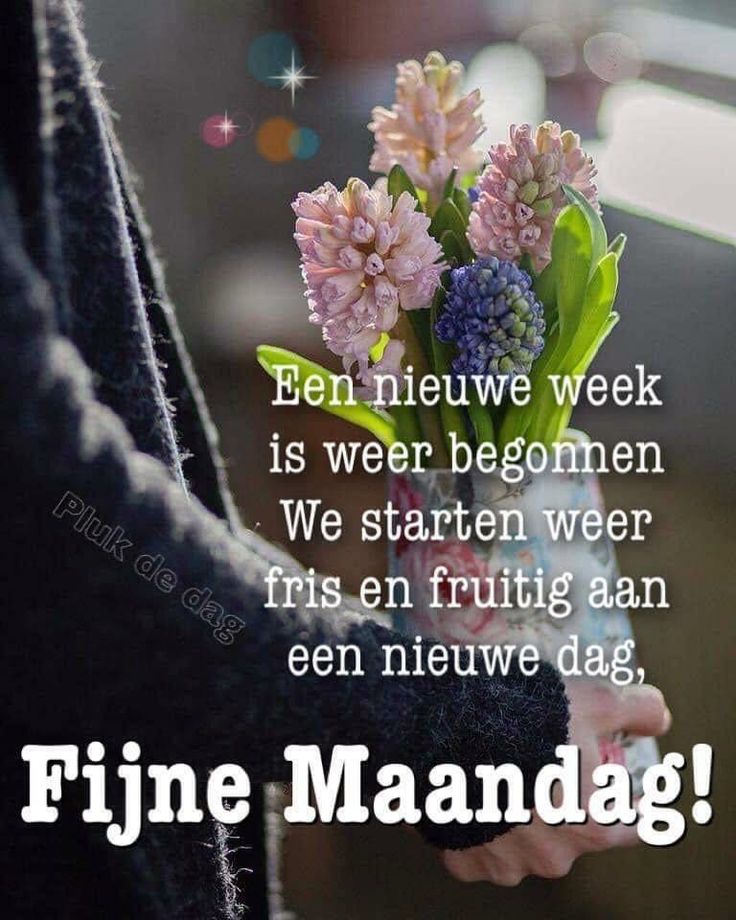 fijne maandag nieuwe week 000 - fijne maandag nieuwe week