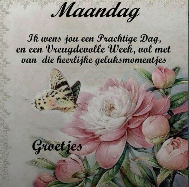 fijne maandag tekst 000 - fijne maandag tekst