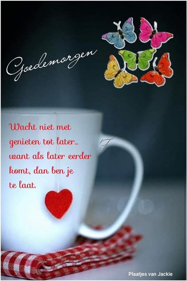 goedemorgen plaatjes 000 - goedemorgen plaatjes