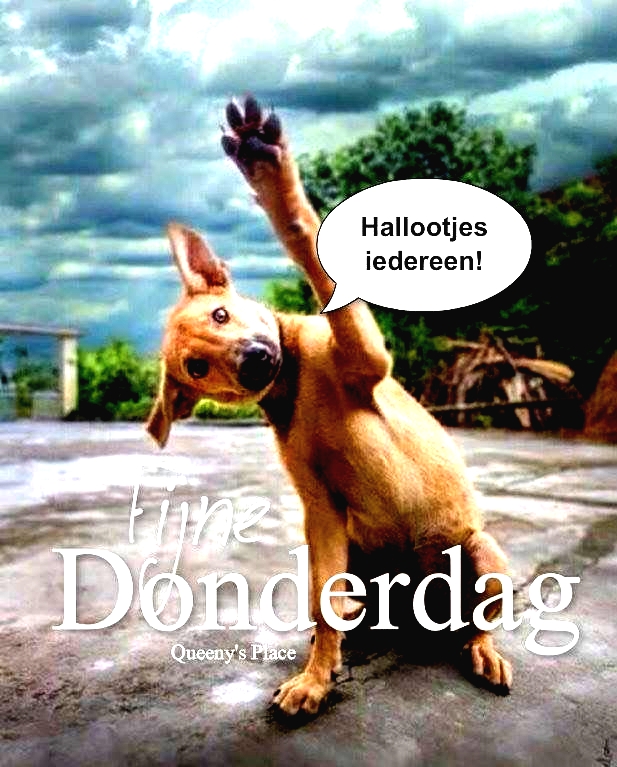 goedemorgen donderdag humor 000 - goedemorgen donderdag humor