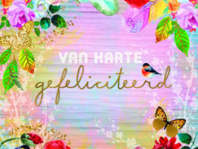 gefeliciteerd vrouw 000 - gefeliciteerd vrouw